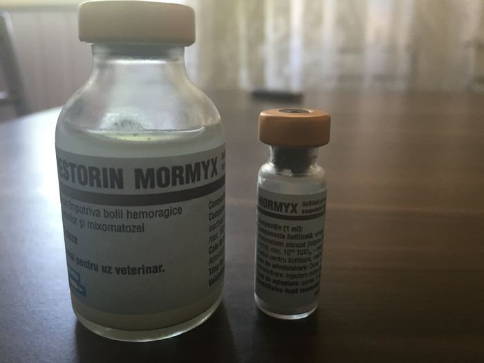 Pestoryn Mormyx; Vaccin
