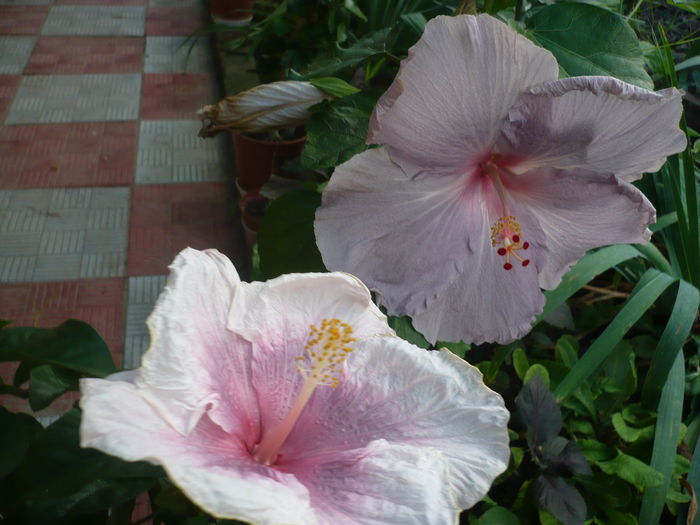 P1280210