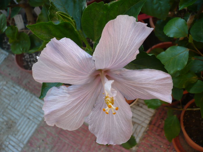 P1280217