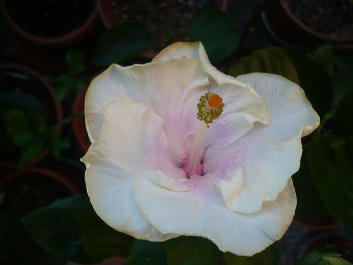 P1280218
