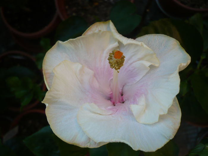 P1280219