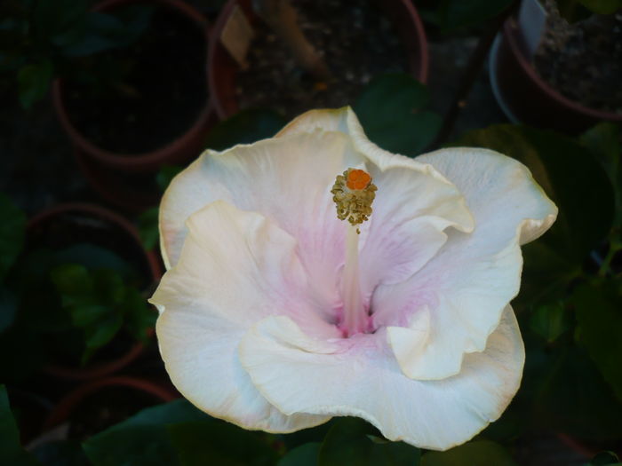 P1280220