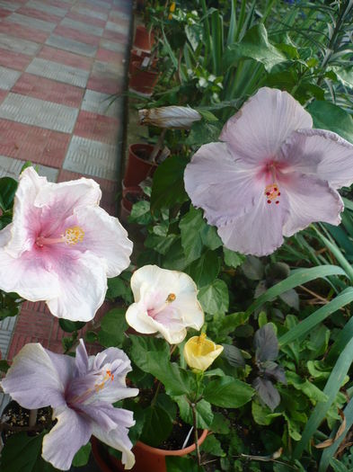 P1280222