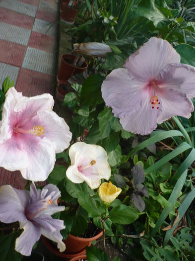 P1280223