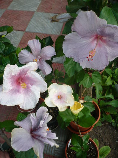 P1280224