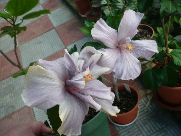 P1280239