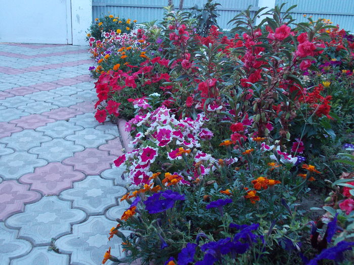 DSCN2814