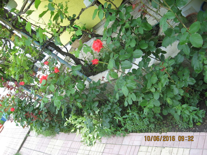 Picture 6413