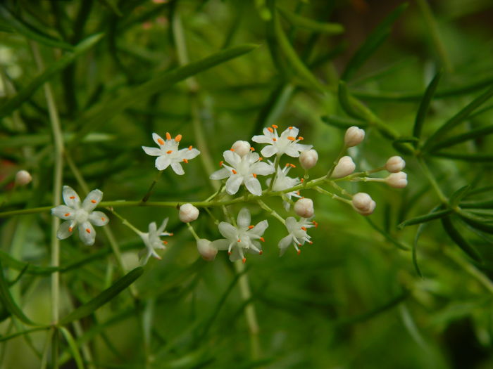 DSCN2302