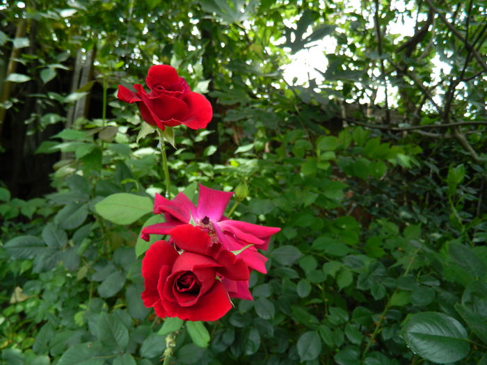 DSCN2308