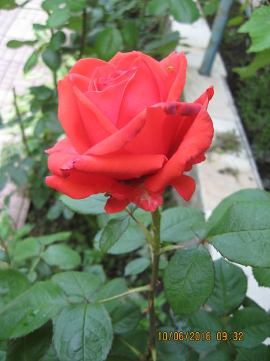 Picture 6414