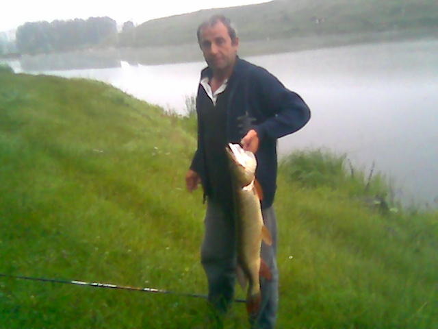 Iulian la Suta