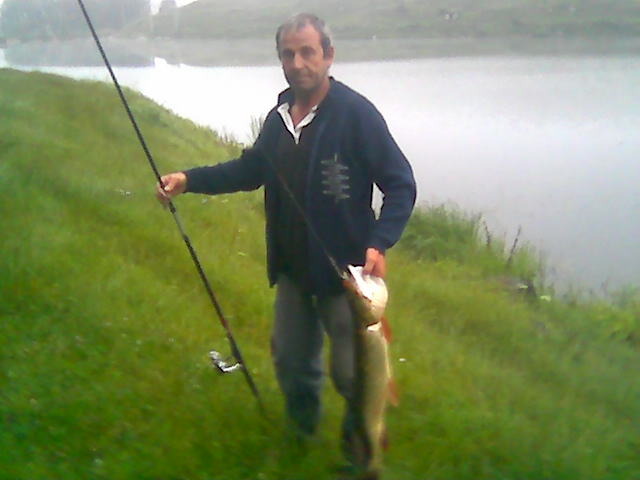 stiuca din Suta