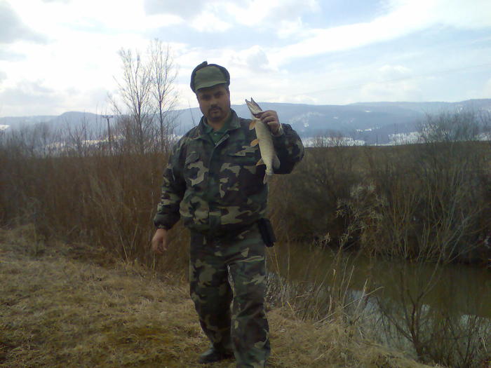 stiuca Olt