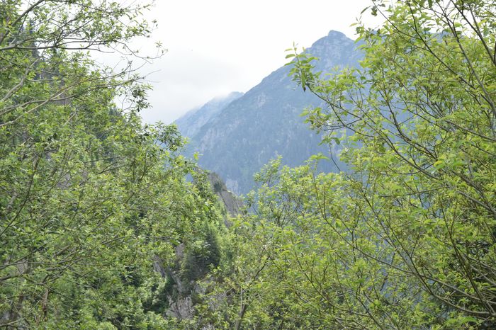 DSC_0857 - 1TRANSFAGARASAN