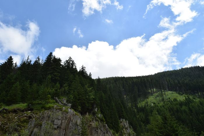 DSC_0864 - 1TRANSFAGARASAN