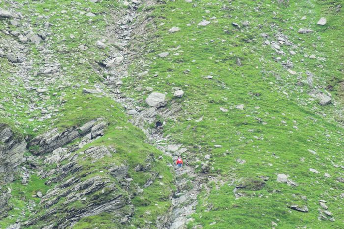 DSC_0992 - 1TRANSFAGARASAN