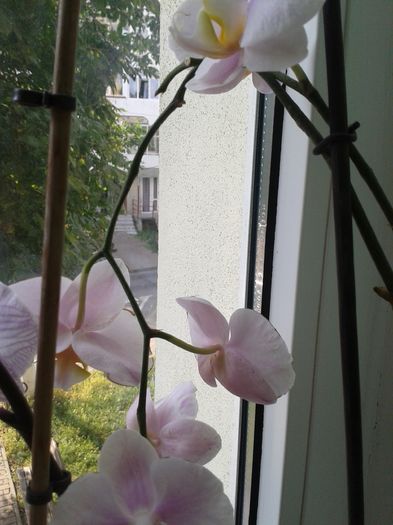 20160715_081707
