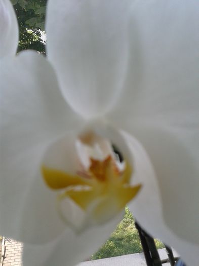 20160715_081808
