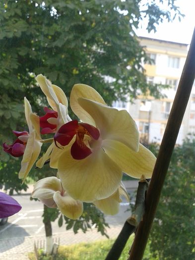 20160715_081814