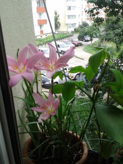 20160715_145953