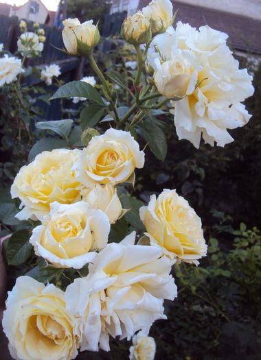 DSC05544 - Cyrano de Bergerac