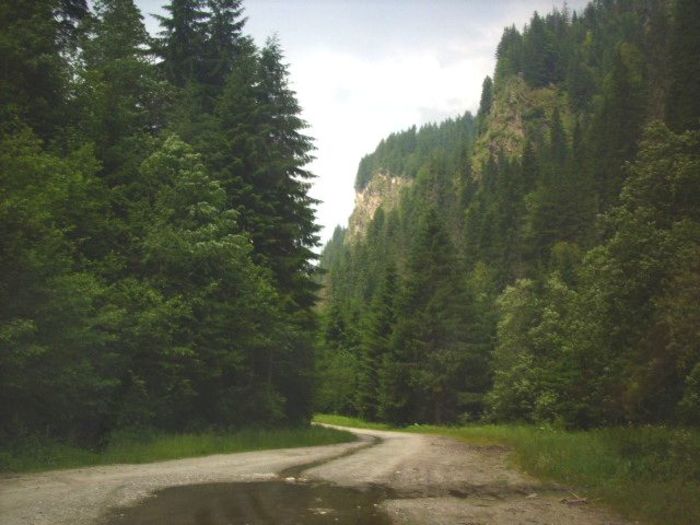019 - În Vacanță la Olănești