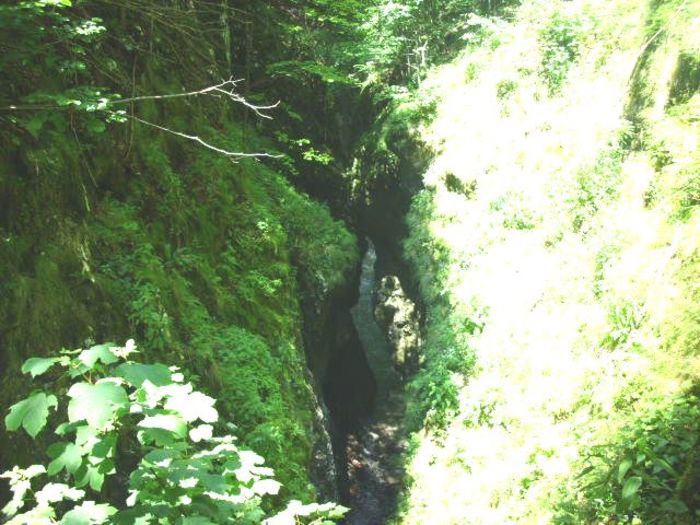 029; Cheile Oltetului, cele mai inguste chei din Europa.
