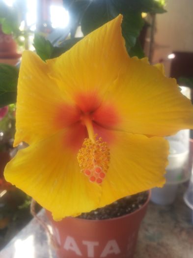 Kim; Multumesc  Gabi.
