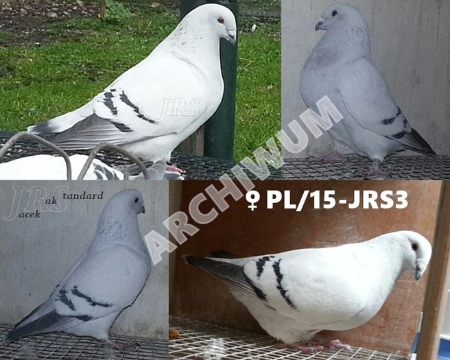 F.15-JRS3; M.14-JRS36(ARHIVA) + F.10-RO(ARHIVA) =&gt; F.15-JRS3
