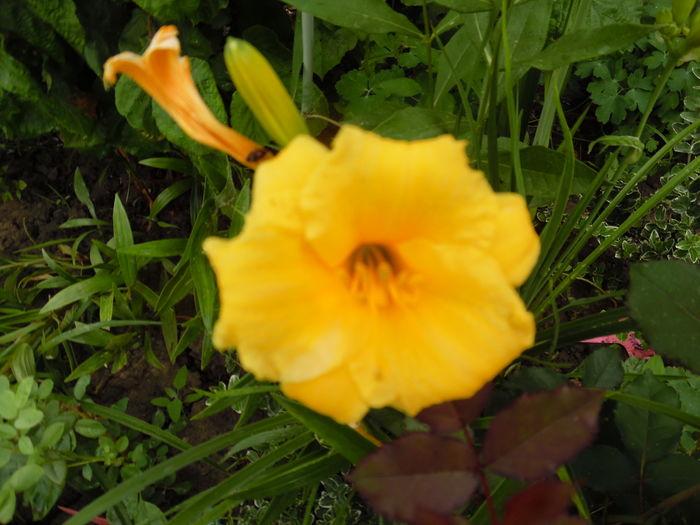 013