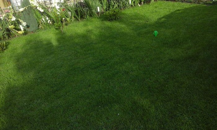 20160717_191339