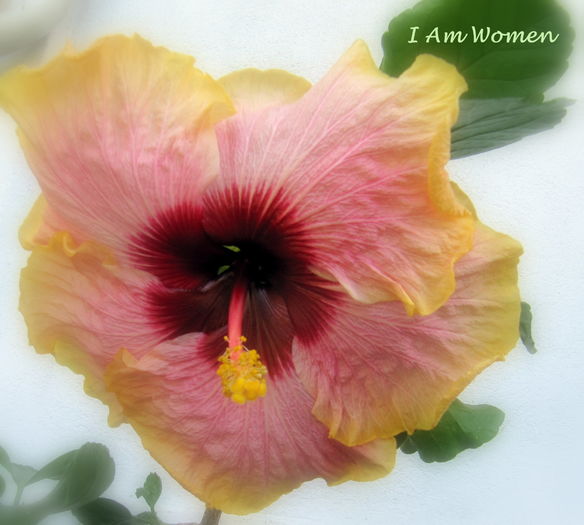 I Am Women - H - Hibiscusi