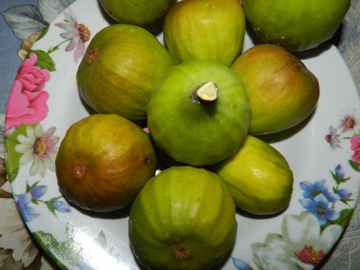 DSCN2476 - 2016 IULIE 2