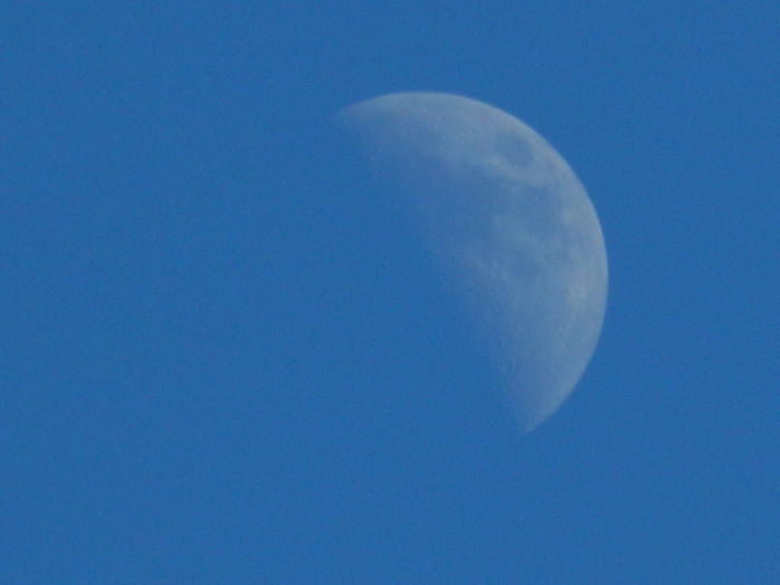 DSCN2537 - 2016 IULIE 2