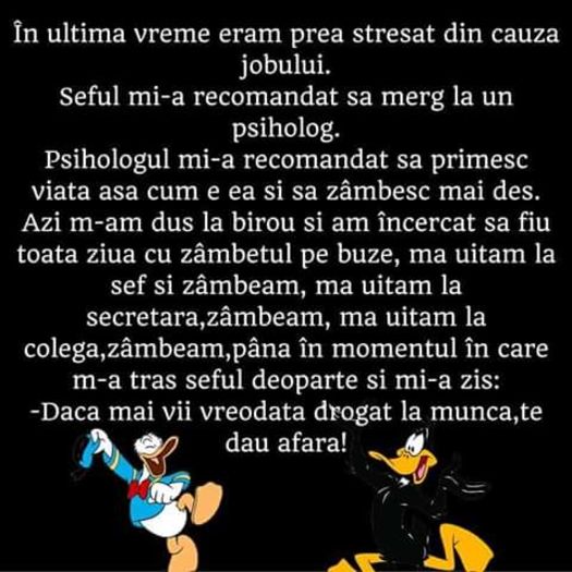 13599799_512634442259932_1391796389084632353_n - Diverse