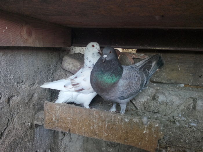 2; IMG_20160212_120113
