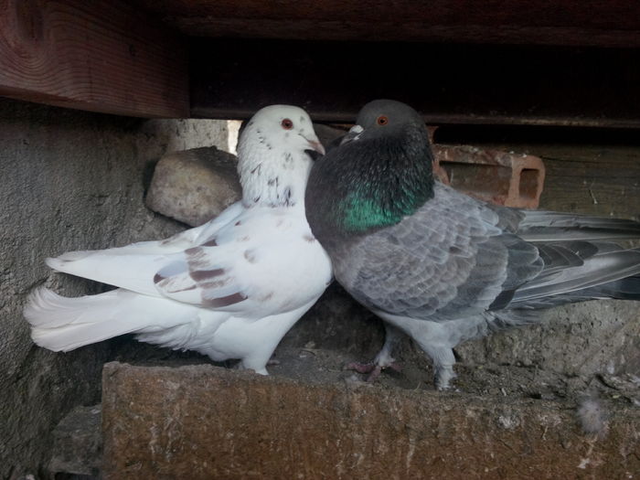 2; IMG_20160212_120133
