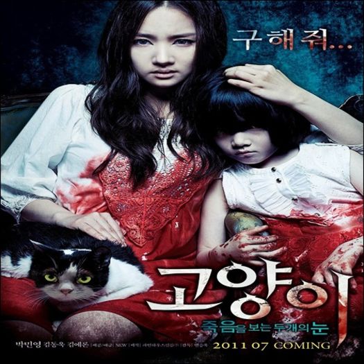 The cat - 0 _ Korean Chinese Movies