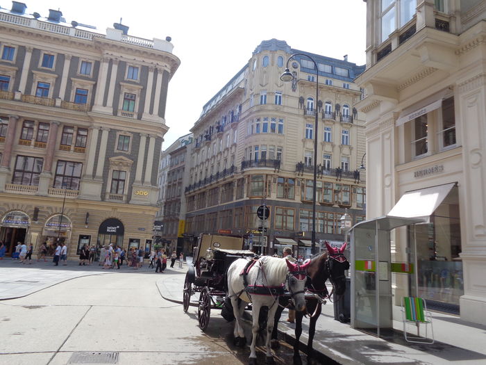 DSC02183 - Viena