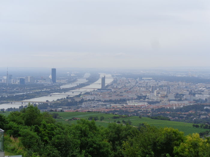 DSC02271 - Viena