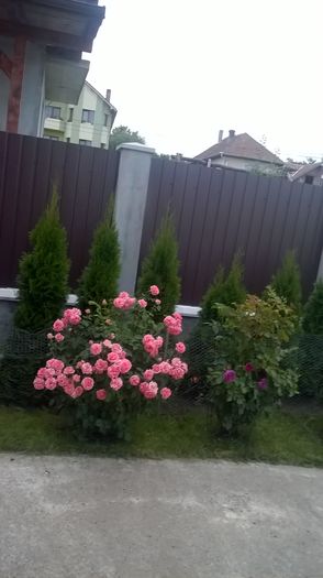 WP_20160719_20_52_34_Pro