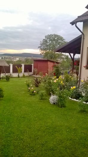 WP_20160719_21_17_44_Pro