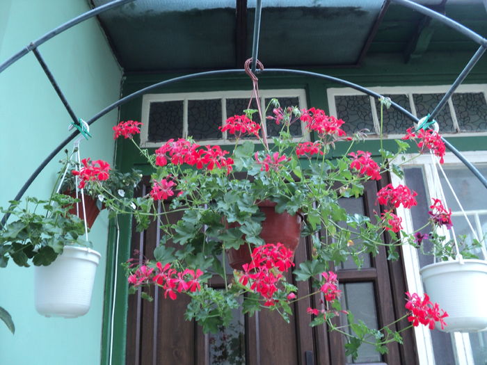 20.07.2016 , dupa o luna...