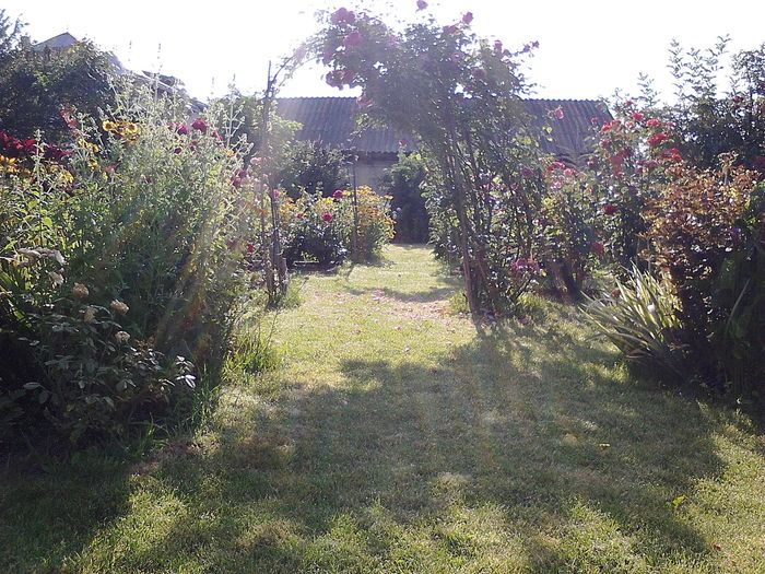 Picture0 011 159 - Trandafirii mei