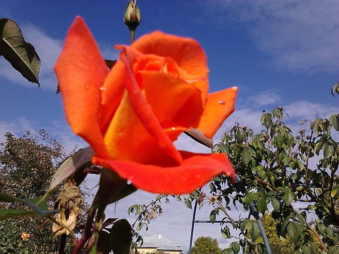 Picture0 011 178; Doris Tysterman
