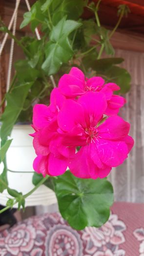 20160720_144205