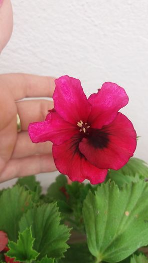 20160720_144621