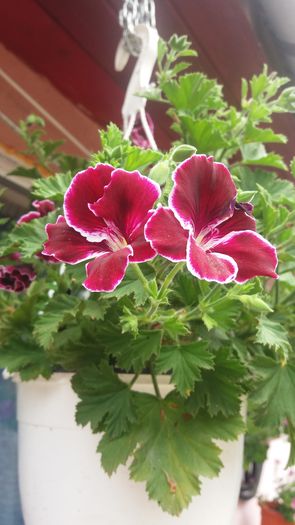 20160720_144729