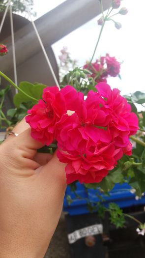 20160720_144752